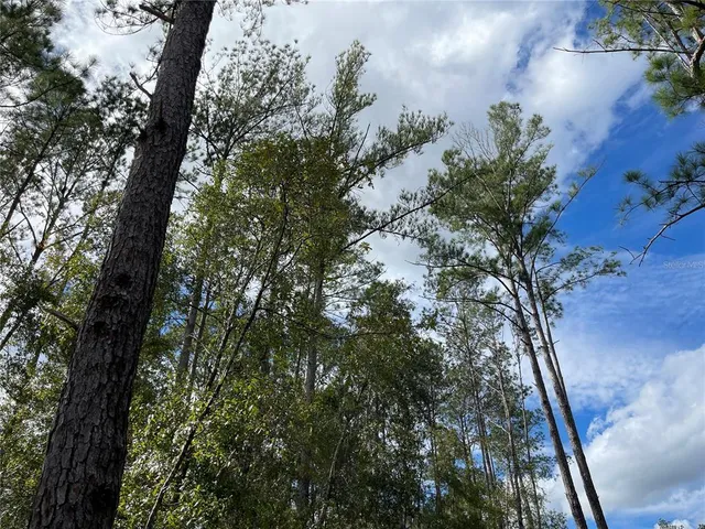 $100,000 | 15635 97th Drive, Live Oak, FL 32060