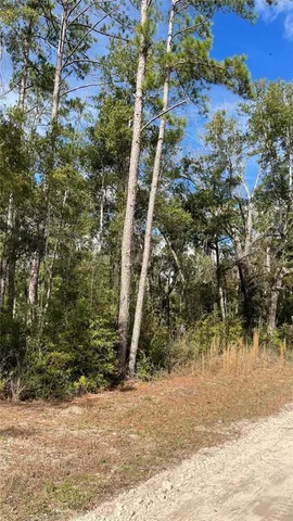 $100,000 | 15635 97th Drive, Live Oak, FL 32060