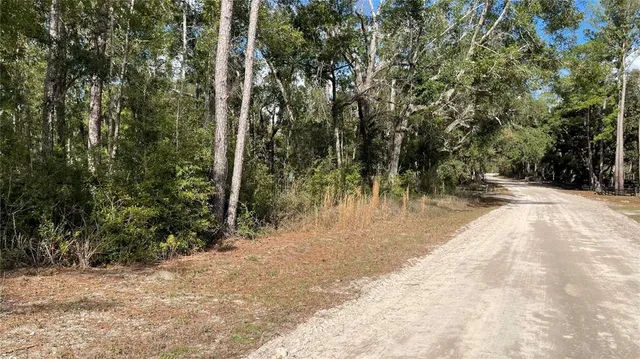 $100,000 | 15635 97th Drive, Live Oak, FL 32060