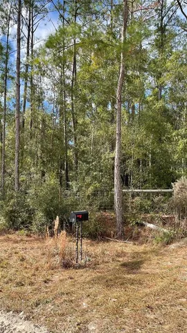 $100,000 | 15635 97th Drive, Live Oak, FL 32060