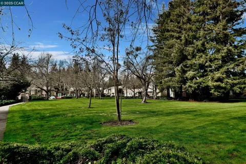 a view of a park with large trees