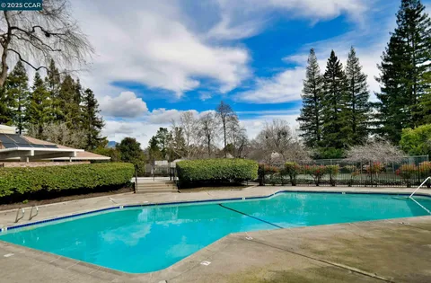a view of a backyard with plants and a garden