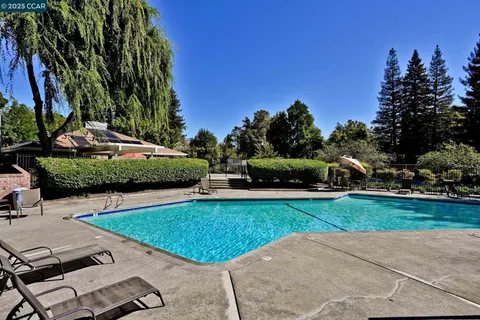 a view of a park that has a large tree