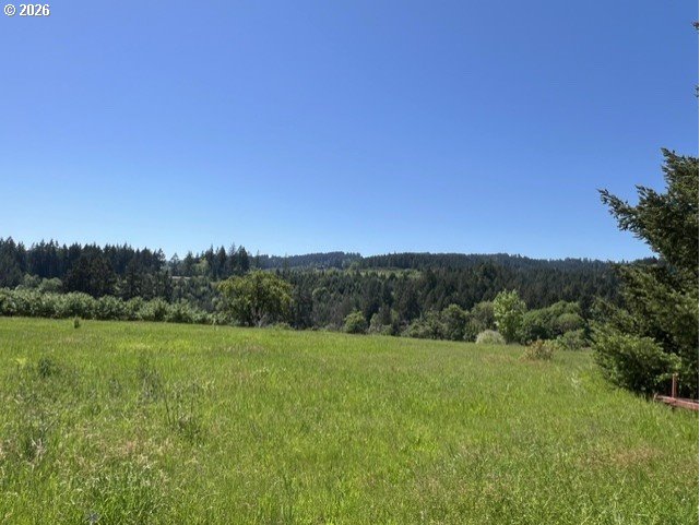 32784 Southwest Laurelview Road Hillsboro, OR 97123 - Photo 9 of 43
