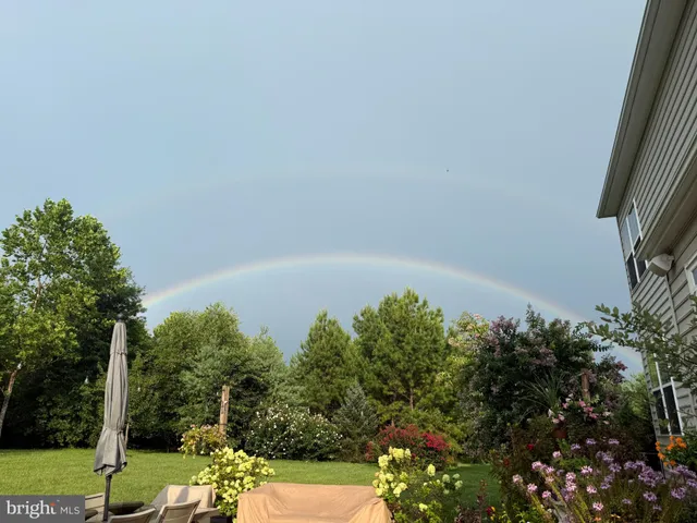 a view of a lush green yard