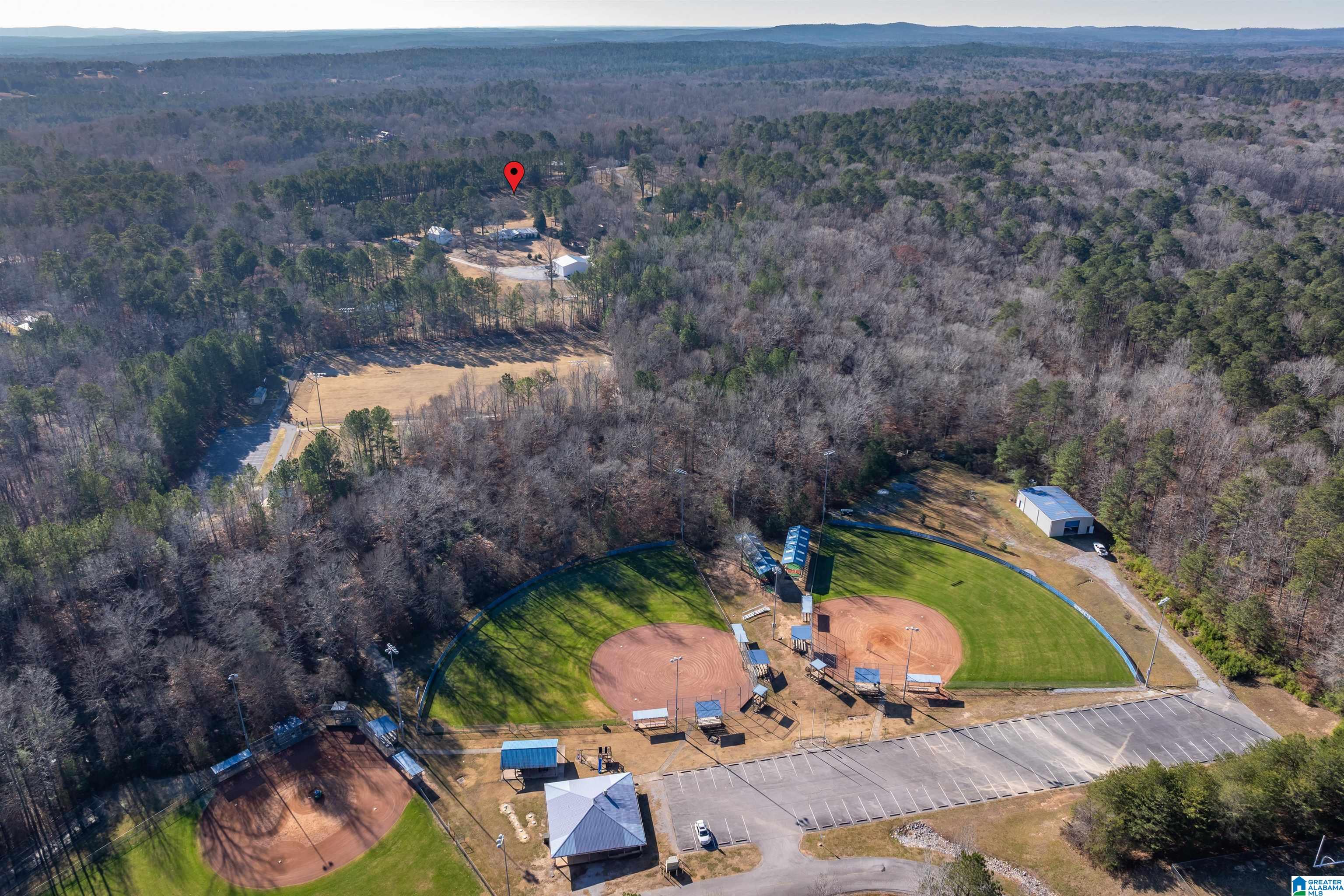 3342 County Road 39 Chelsea, AL 35043 - Photo 47 of 63
