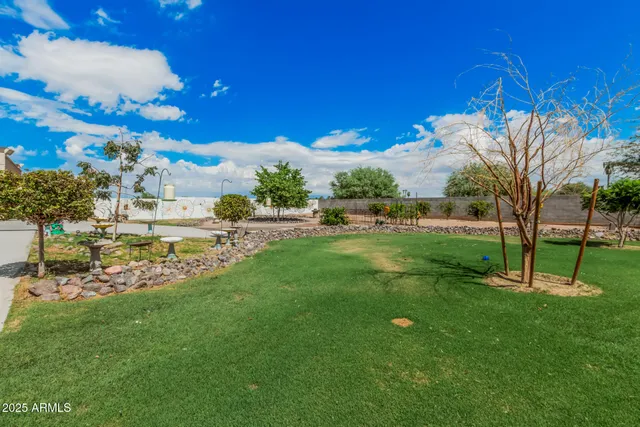 a view of a park with large trees