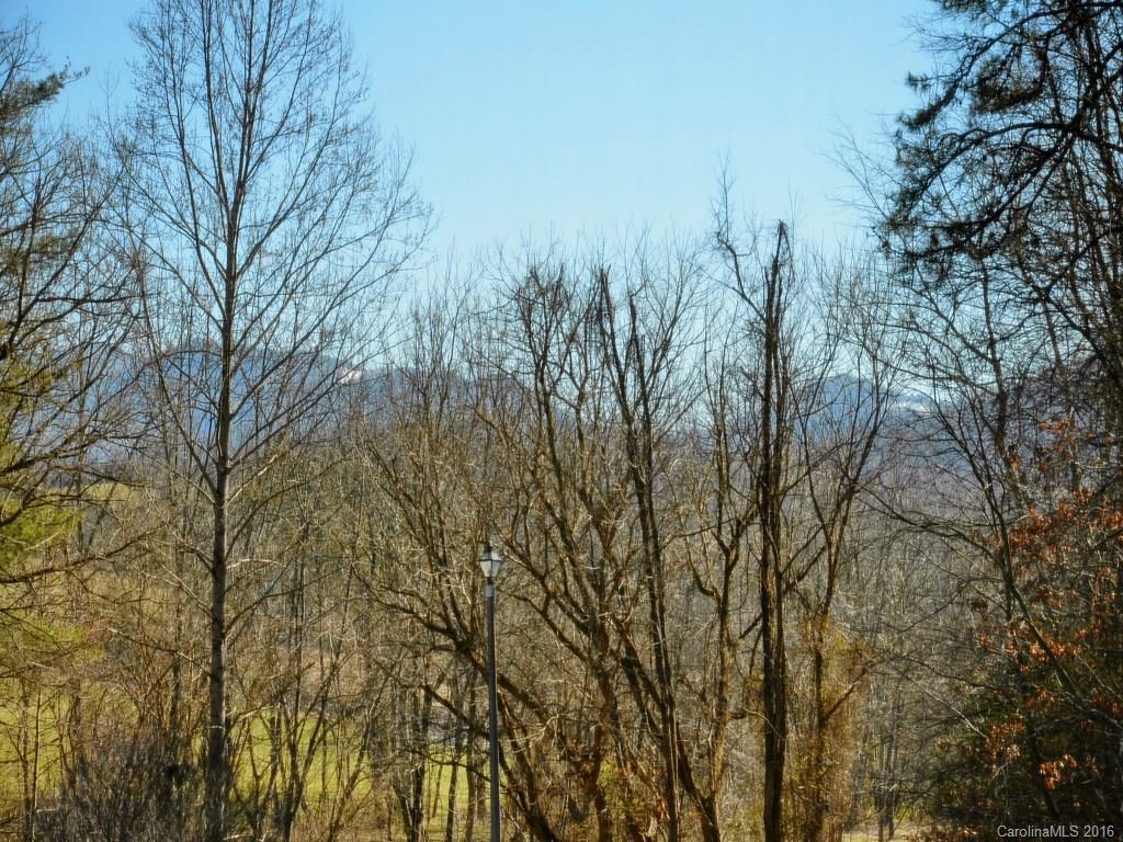 326 Robinson Road Clyde, NC 28721 - Photo 17 of 20 a view of a yard with a tree
