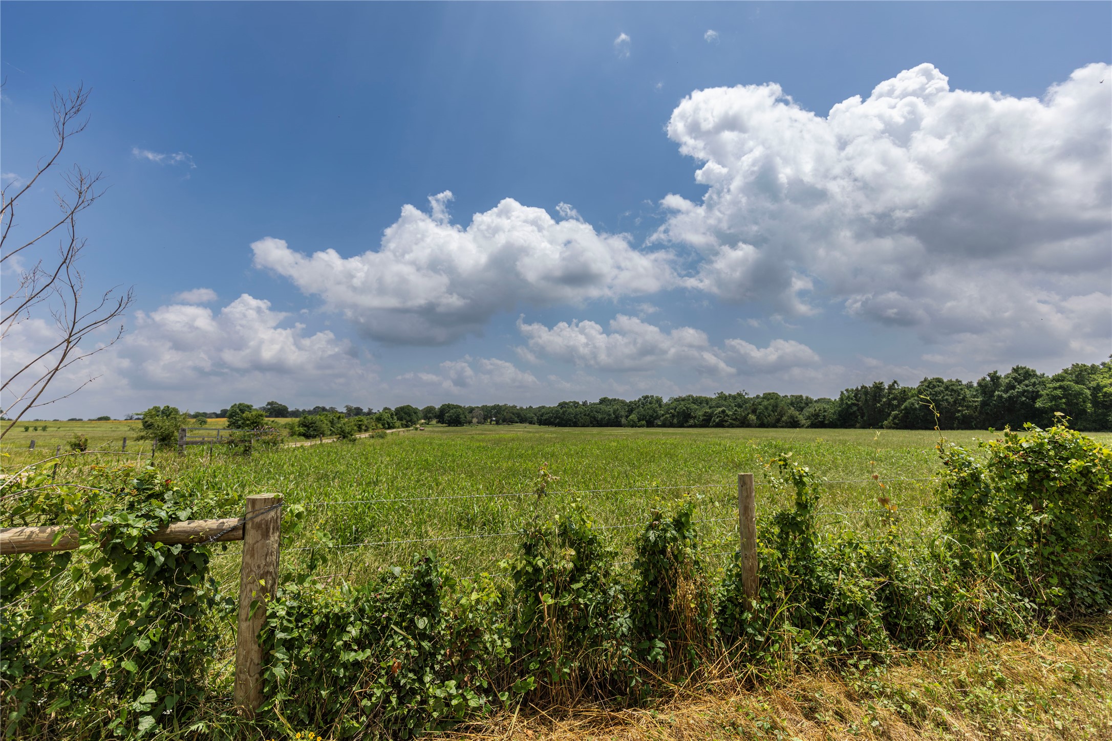 0 Skalak Road Bellville, TX 77418 - Photo 5 of 11