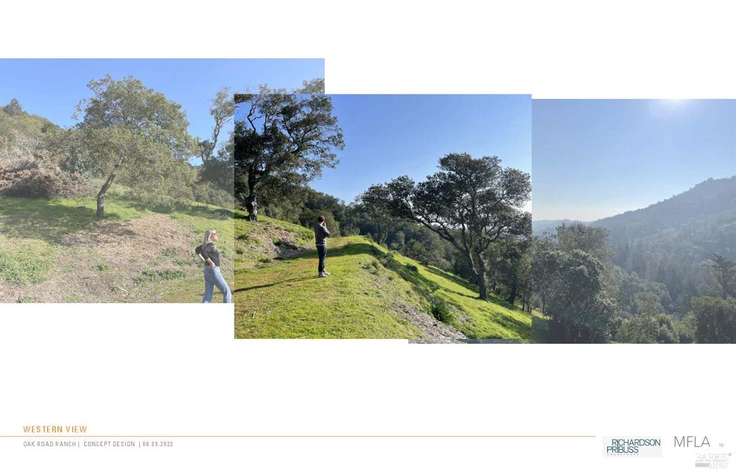50 Oak Road Larkspur, CA 94939 - Photo 18 of 23 a picture of a park