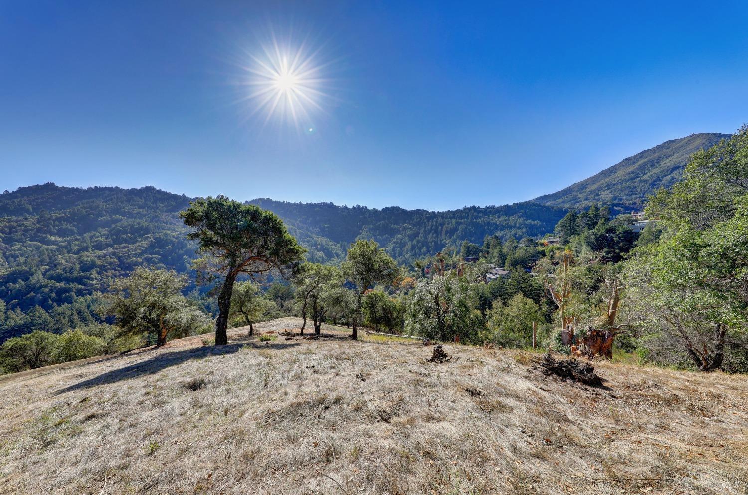 50 Oak Road Larkspur, CA 94939 - Photo 2 of 23 a view of a road with a mountain in the background