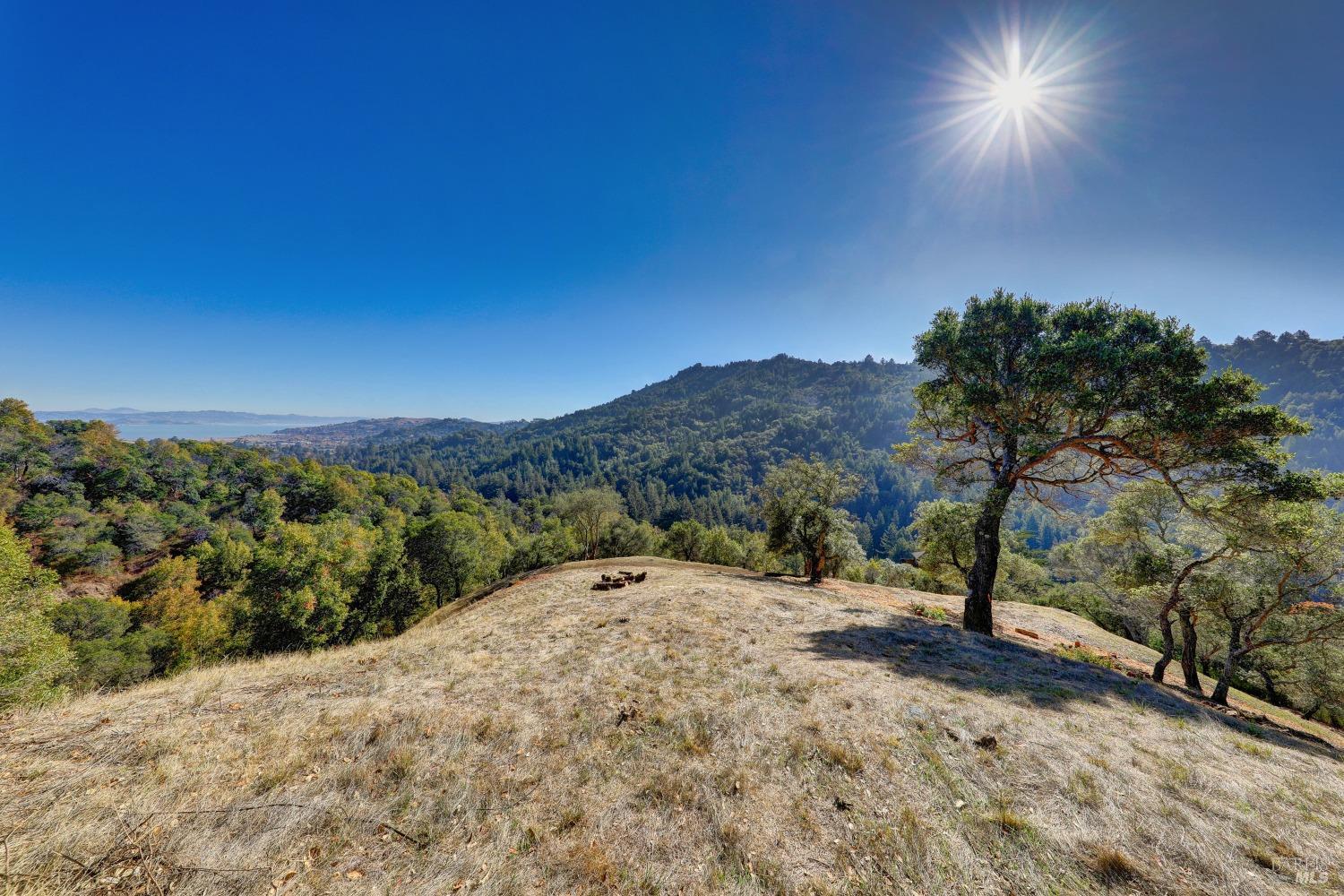 50 Oak Road Larkspur, CA 94939 - Photo 3 of 23 a view of a dry yard with mountain view