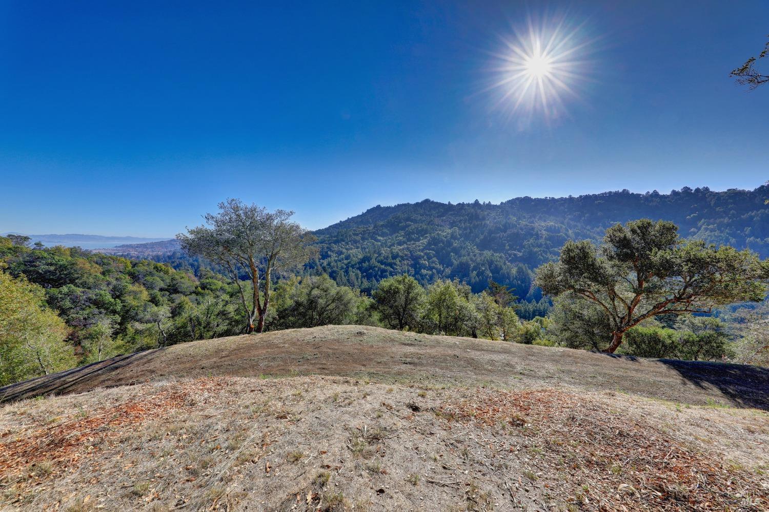50 Oak Road Larkspur, CA 94939 - Photo 4 of 23 a view of a yard with a mountain