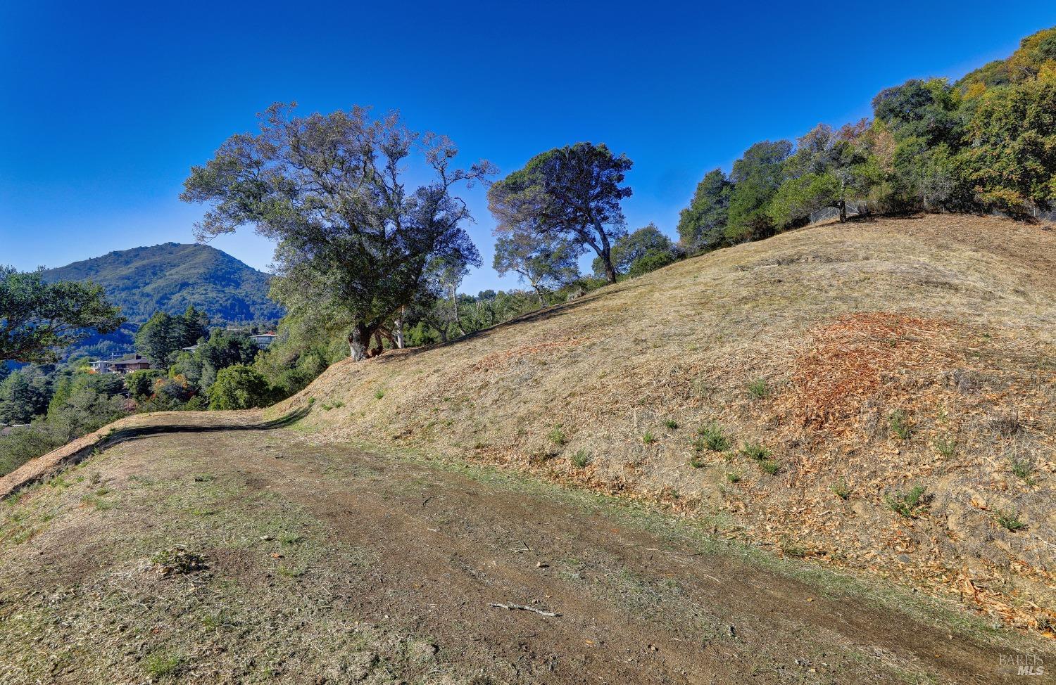 50 Oak Road Larkspur, CA 94939 - Photo 5 of 23 a view of a backyard of a house