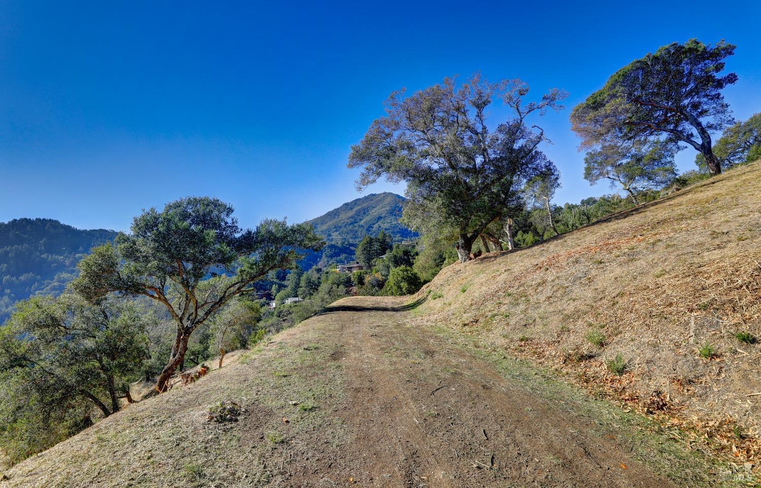 50 Oak Road Larkspur, CA 94939 - Photo 6 of 23 a view of a yard with a tree
