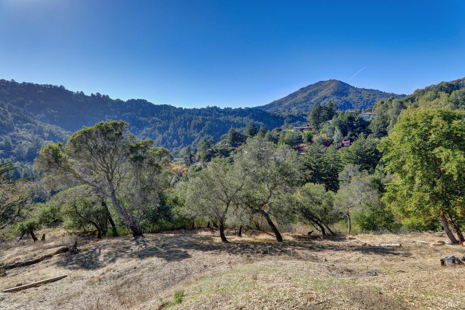50 Oak Road Larkspur, CA 94939 - Photo 7 of 23