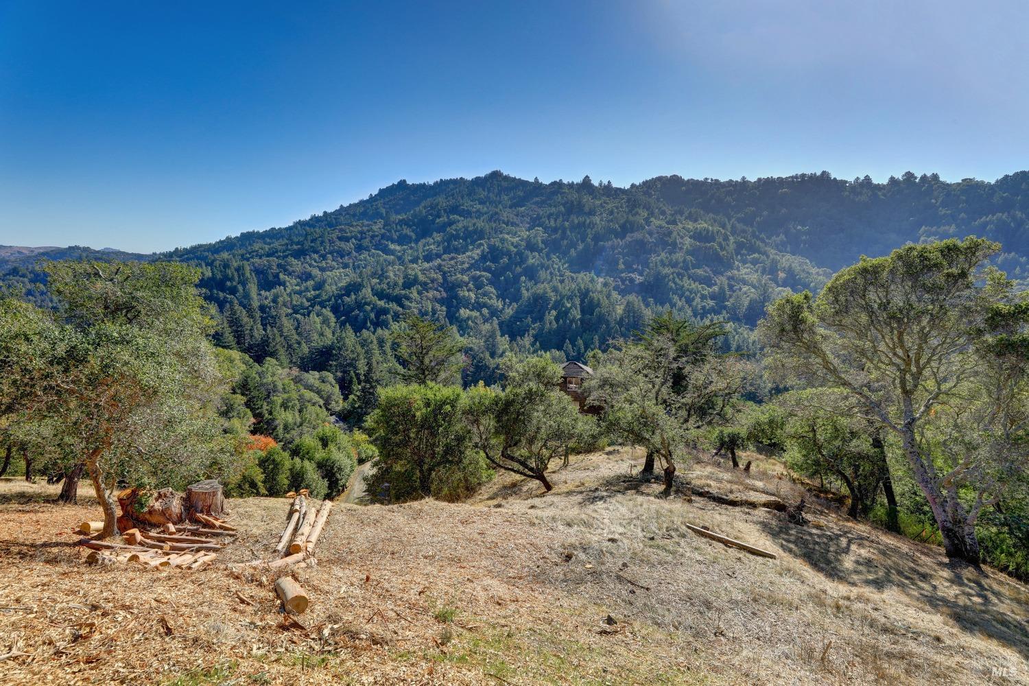 50 Oak Road Larkspur, CA 94939 - Photo 8 of 23 a view of a backyard of a house