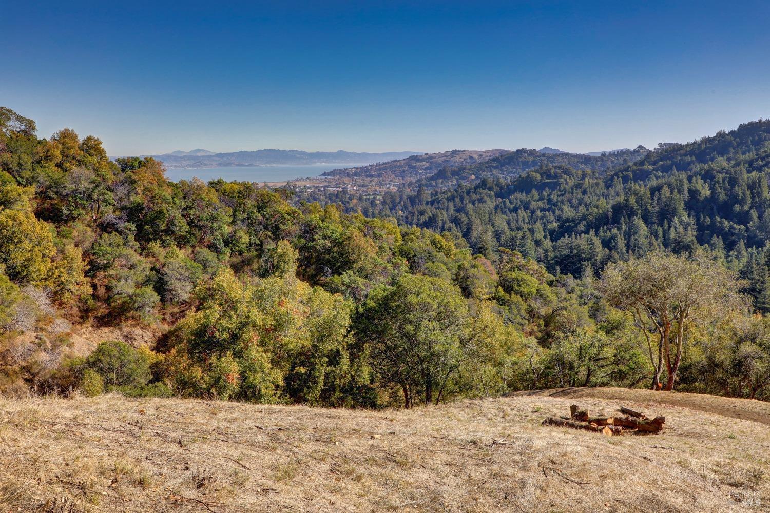 50 Oak Road Larkspur, CA 94939 - Photo 9 of 23 a view of a dry yard