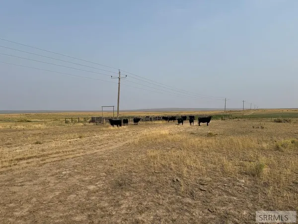 $5,358,307 | Tbd Tbd Tbd Idaho Falls, Idaho Falls, ID 83402