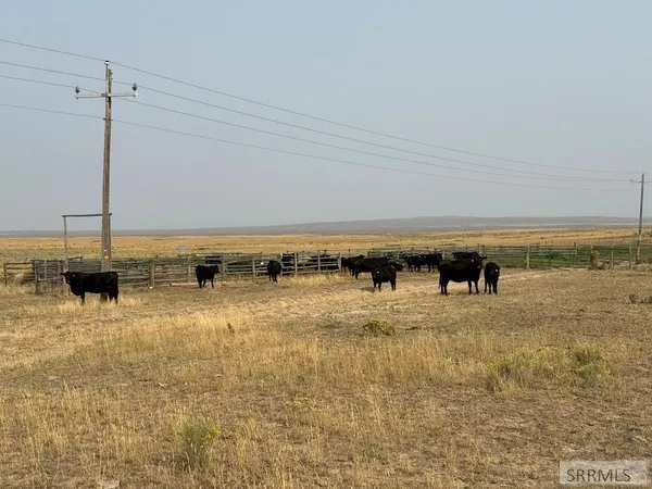 $5,358,307 | Tbd Tbd Tbd Idaho Falls, Idaho Falls, ID 83402