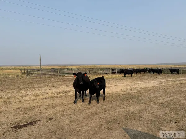 $5,358,307 | Tbd Tbd Tbd Idaho Falls, Idaho Falls, ID 83402