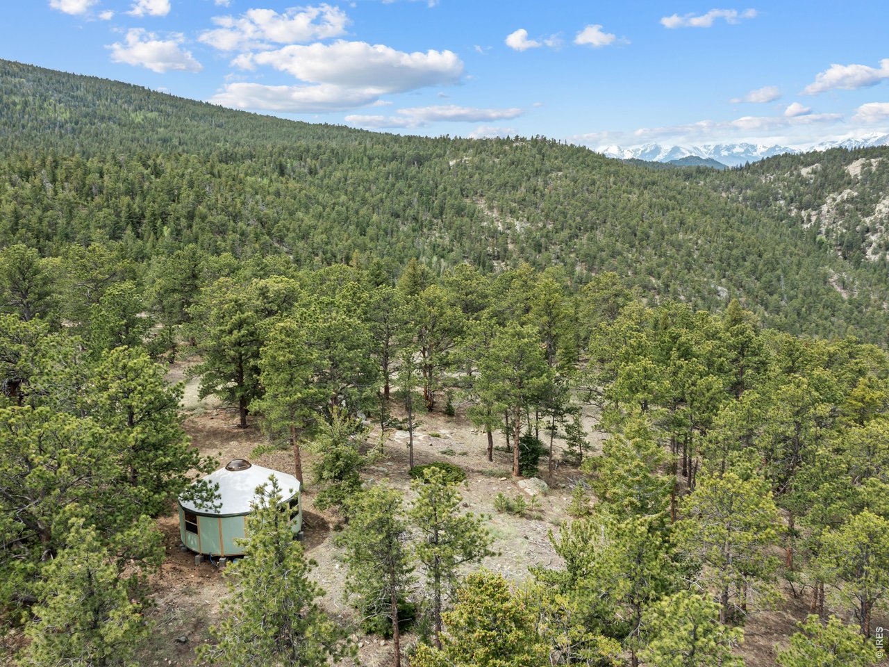 1825 Soul Shine Road Drake, CO 80515 - Photo 17 of 34
