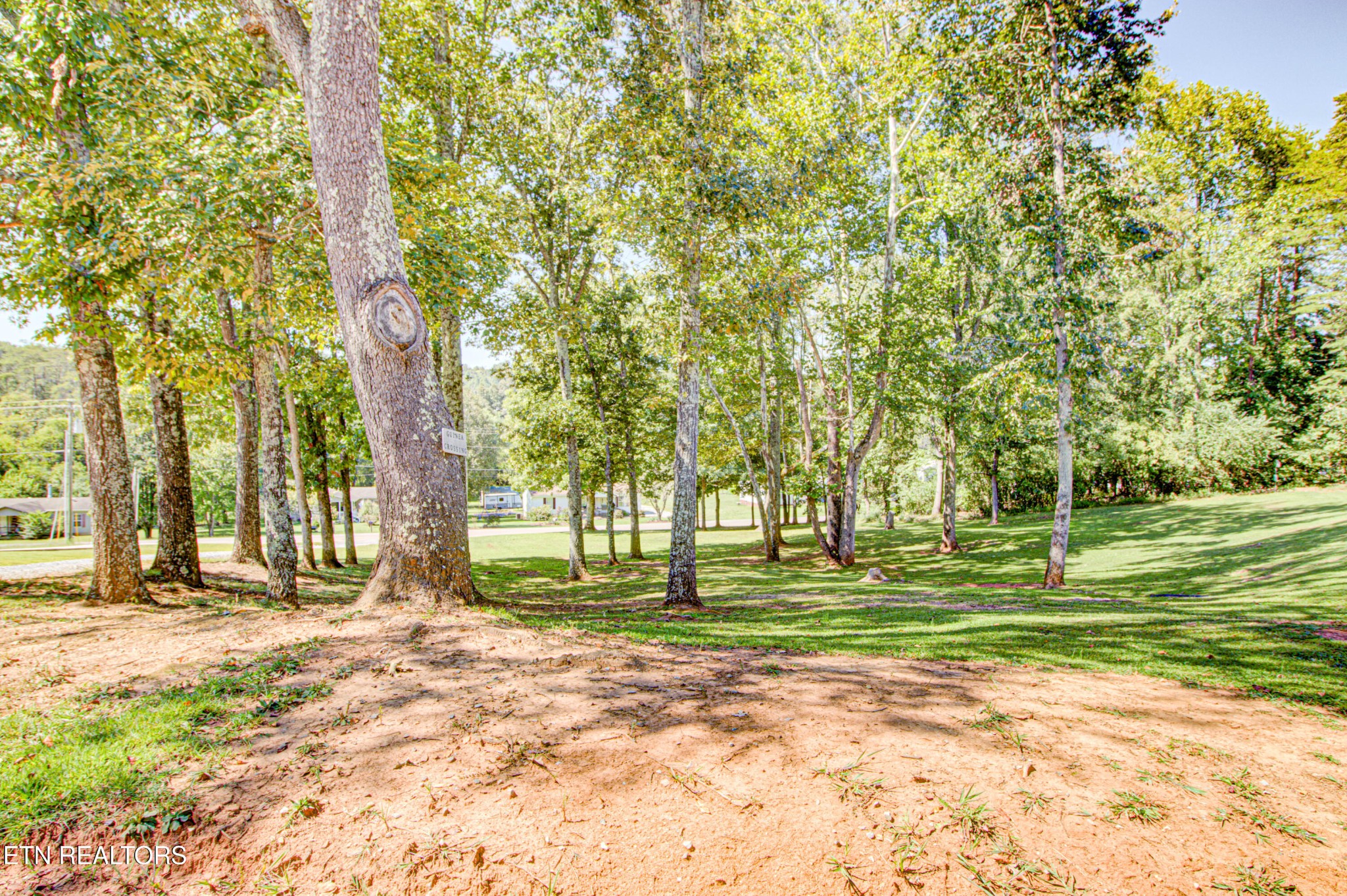 925 Cloyds Church Road Greenback, TN 37742 - Photo 39 of 50 Gallery Image 39