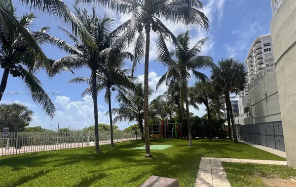 a view of a park with palm trees