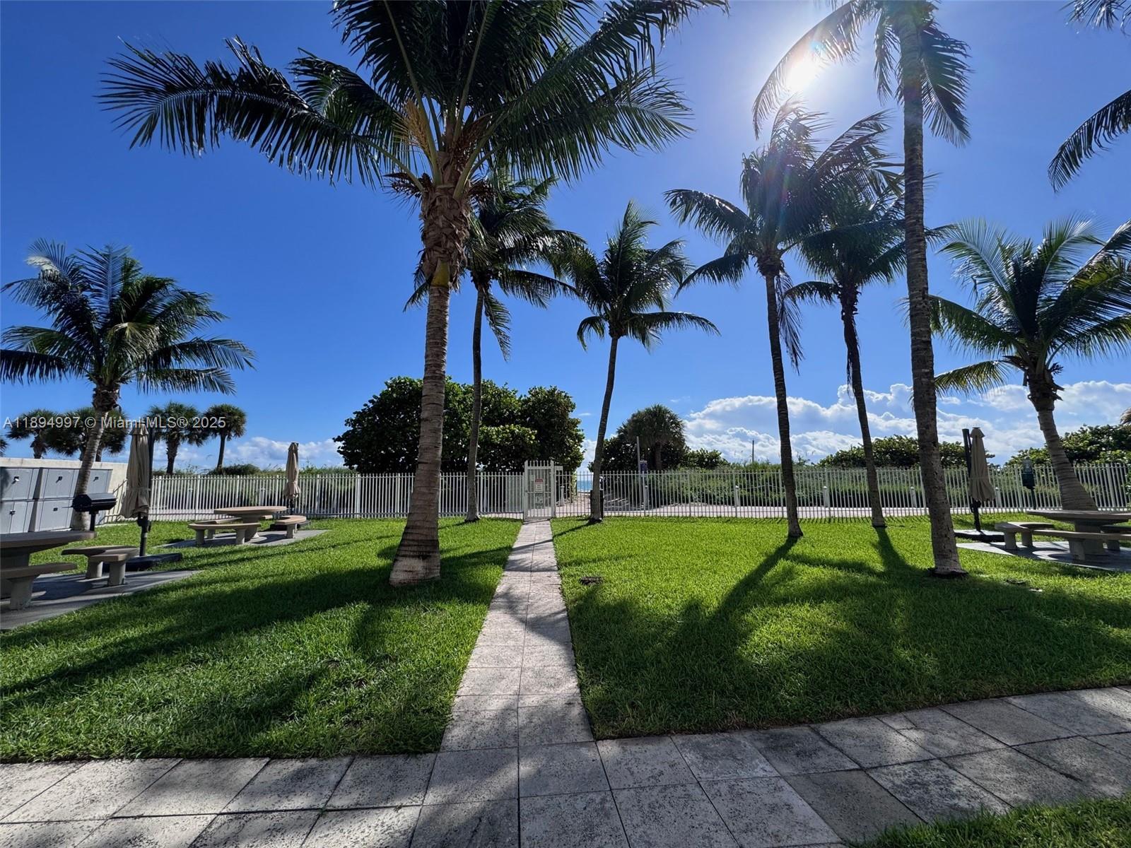 6061 Collins Avenue, Unit 10C Miami Beach, FL 33140 - Photo 31 of 45 a view of a park with palm trees