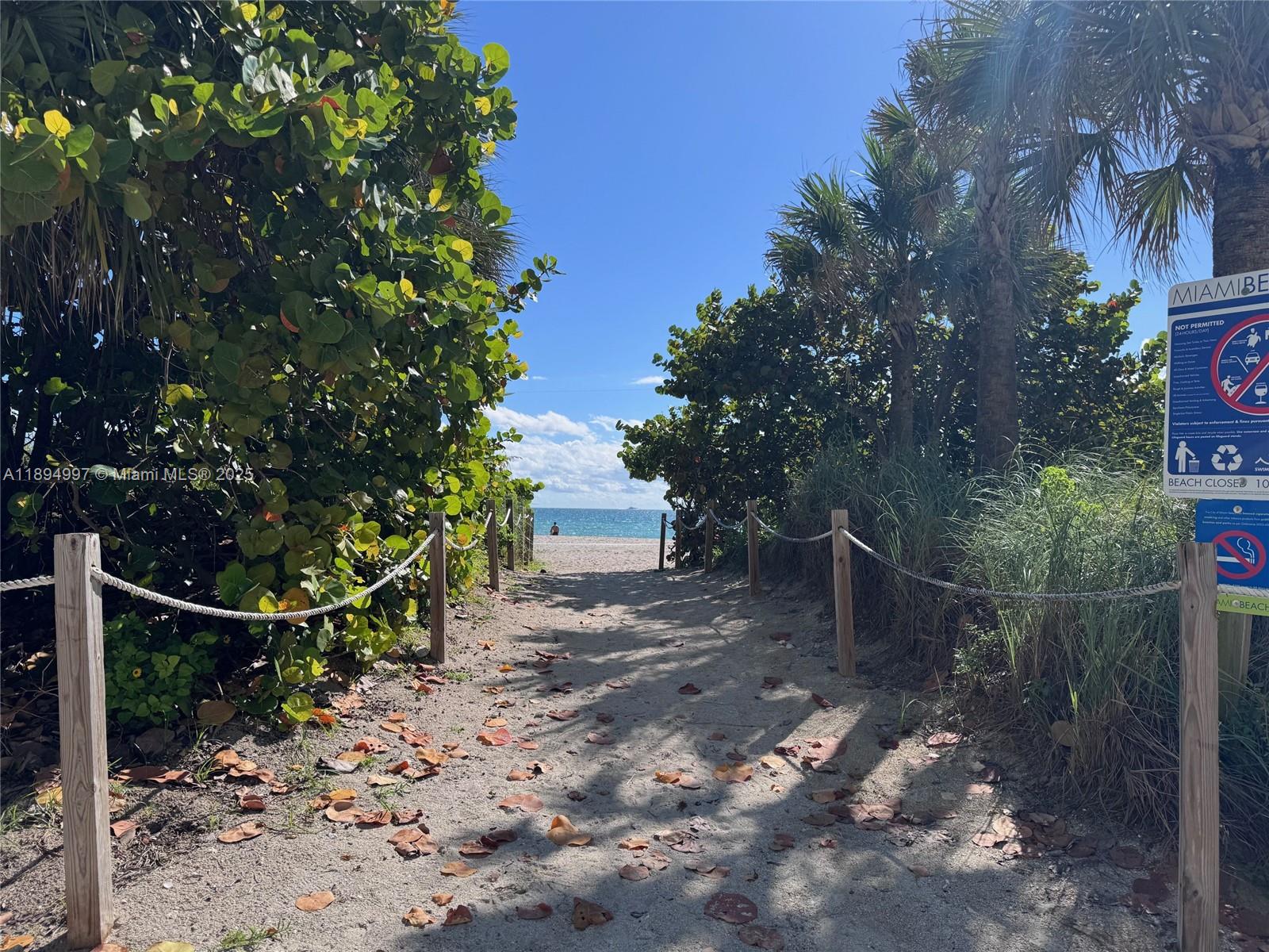 6061 Collins Avenue, Unit 10C Miami Beach, FL 33140 - Photo 37 of 45 a backyard of a house with lots of green space