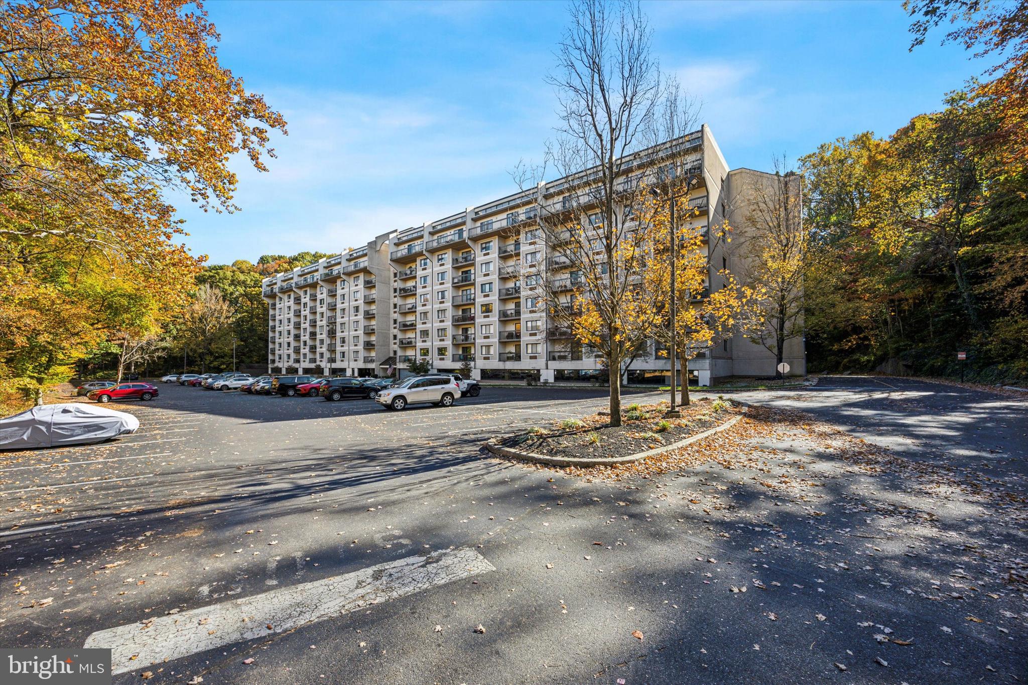 800 Avondale Road, Unit 7B Wallingford, PA 19086 - Photo 24 of 24 a street view with large trees