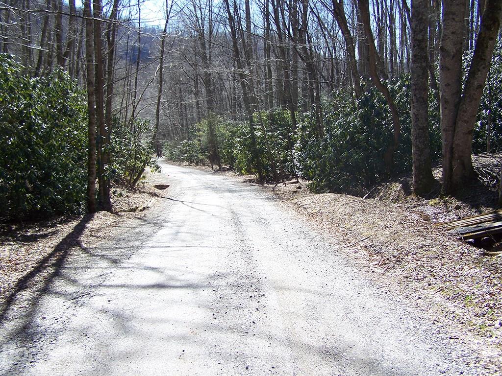 19 Quail Cove Road, Unit 19 Clyde, NC 28721 - Photo 15 of 23 a view of a yard covered in snow
