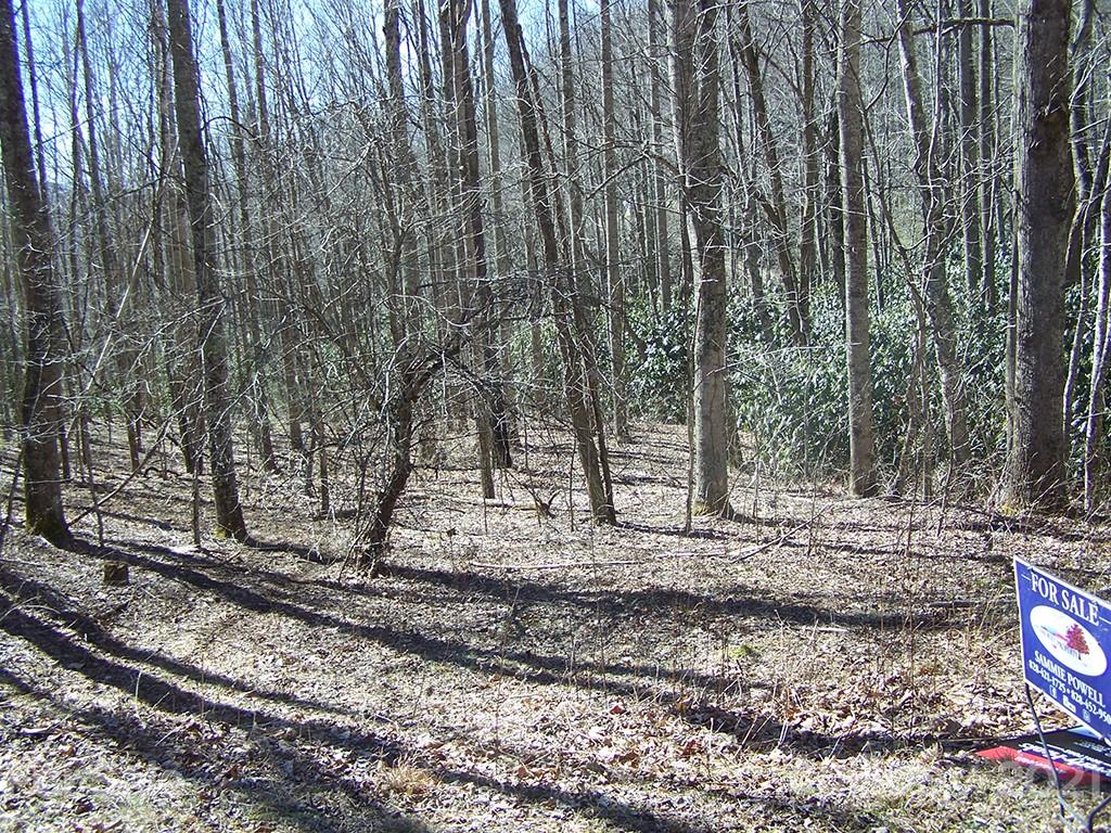 19 Quail Cove Road, Unit 19 Clyde, NC 28721 - Photo 17 of 23 a view of a backyard with trees