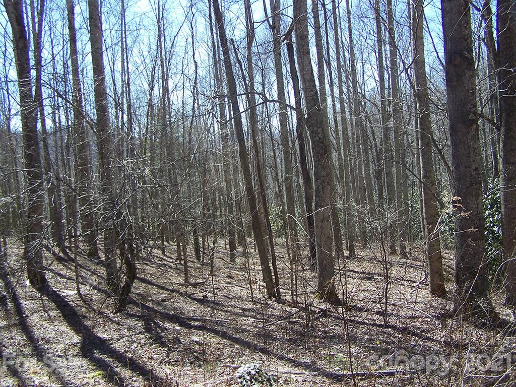 19 Quail Cove Road, Unit 19 Clyde, NC 28721 - Photo 20 of 23 a view of outdoor space with wooden fence