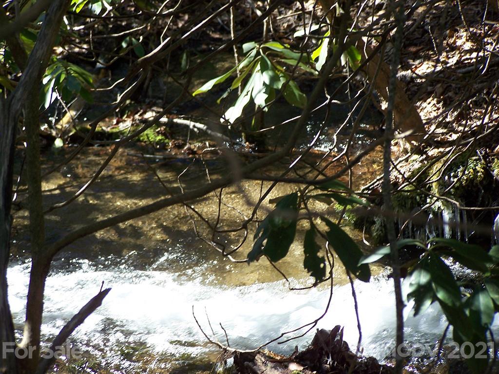 19 Quail Cove Road, Unit 19 Clyde, NC 28721 - Photo 22 of 23 a view of tree