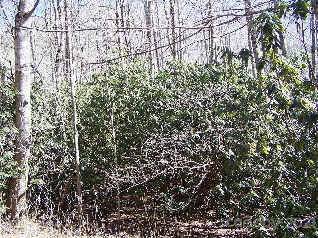 19 Quail Cove Road, Unit 19 Clyde, NC 28721 - Photo 4 of 23 a view of a yard