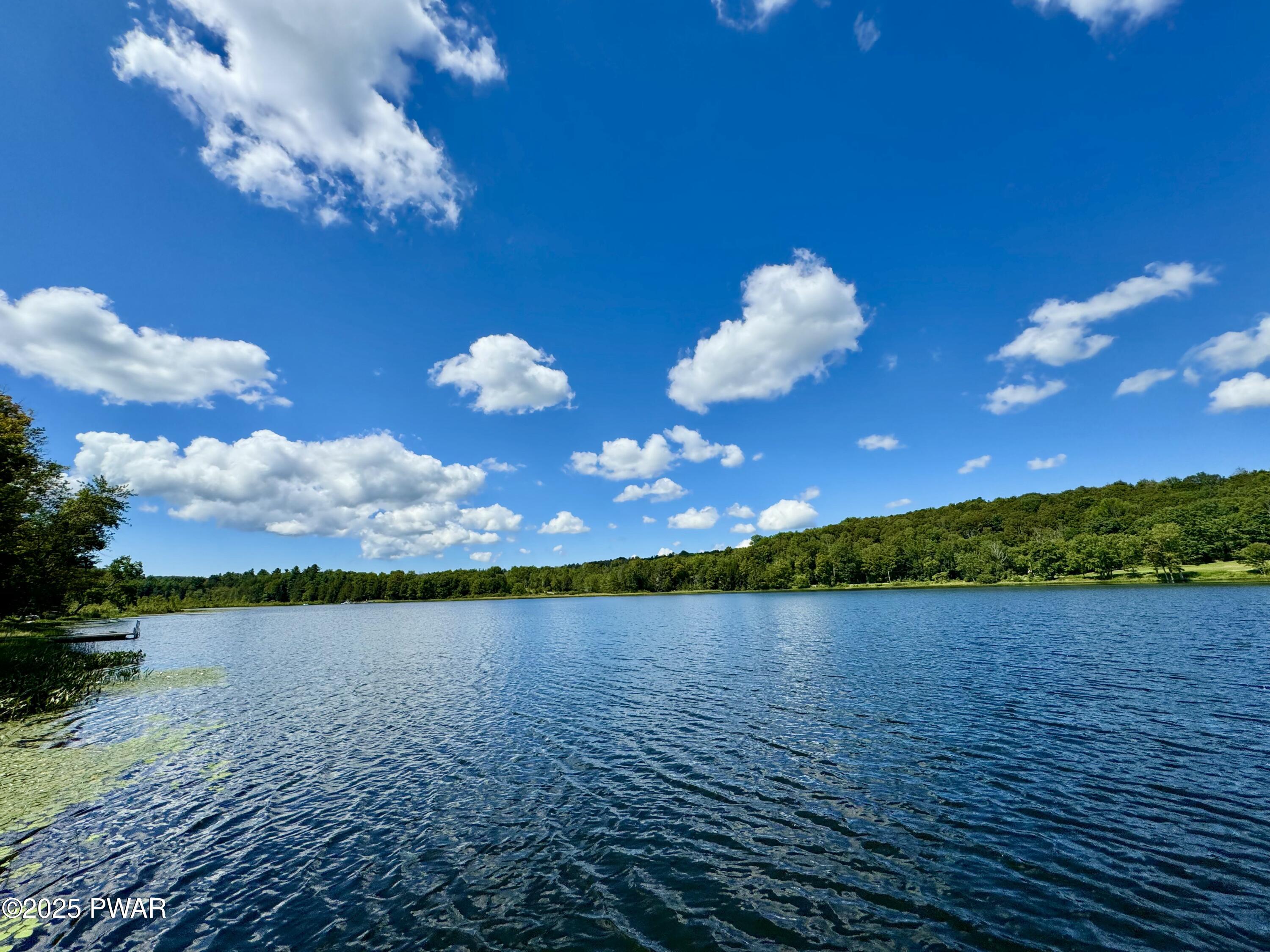 76 South Shore Road Pleasant Mount, PA 18453 - Photo 7 of 30 Gorgeous Bigelow lake