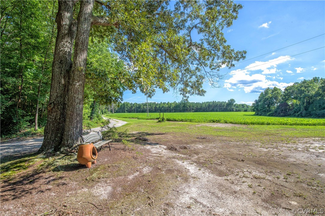 4480 Hair Road Disputanta, VA 23842 - Photo 30 of 39
