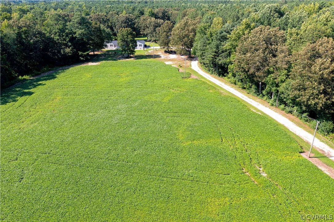 4480 Hair Road Disputanta, VA 23842 - Photo 3 of 39