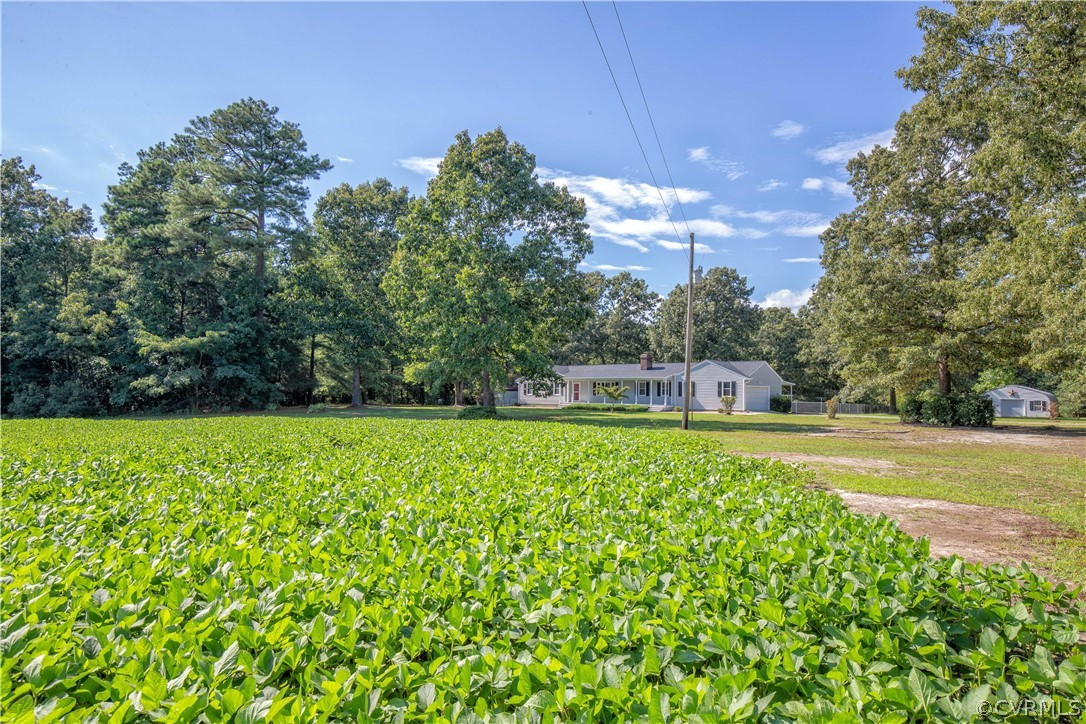 4480 Hair Road Disputanta, VA 23842 - Photo 32 of 39