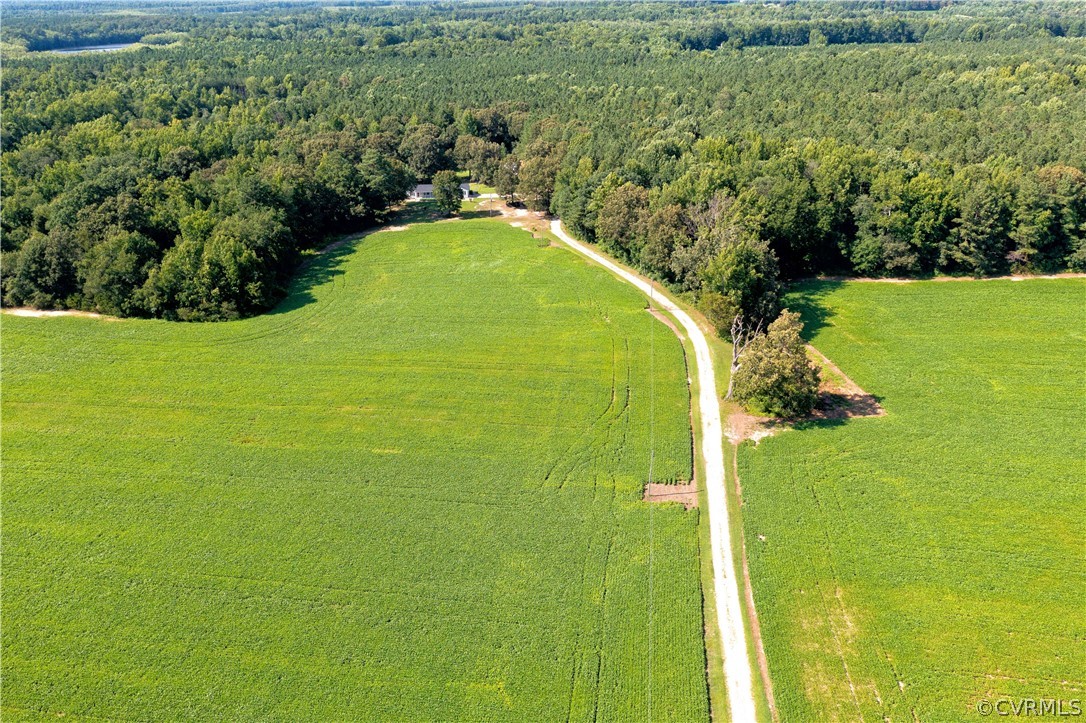 4480 Hair Road Disputanta, VA 23842 - Photo 38 of 39