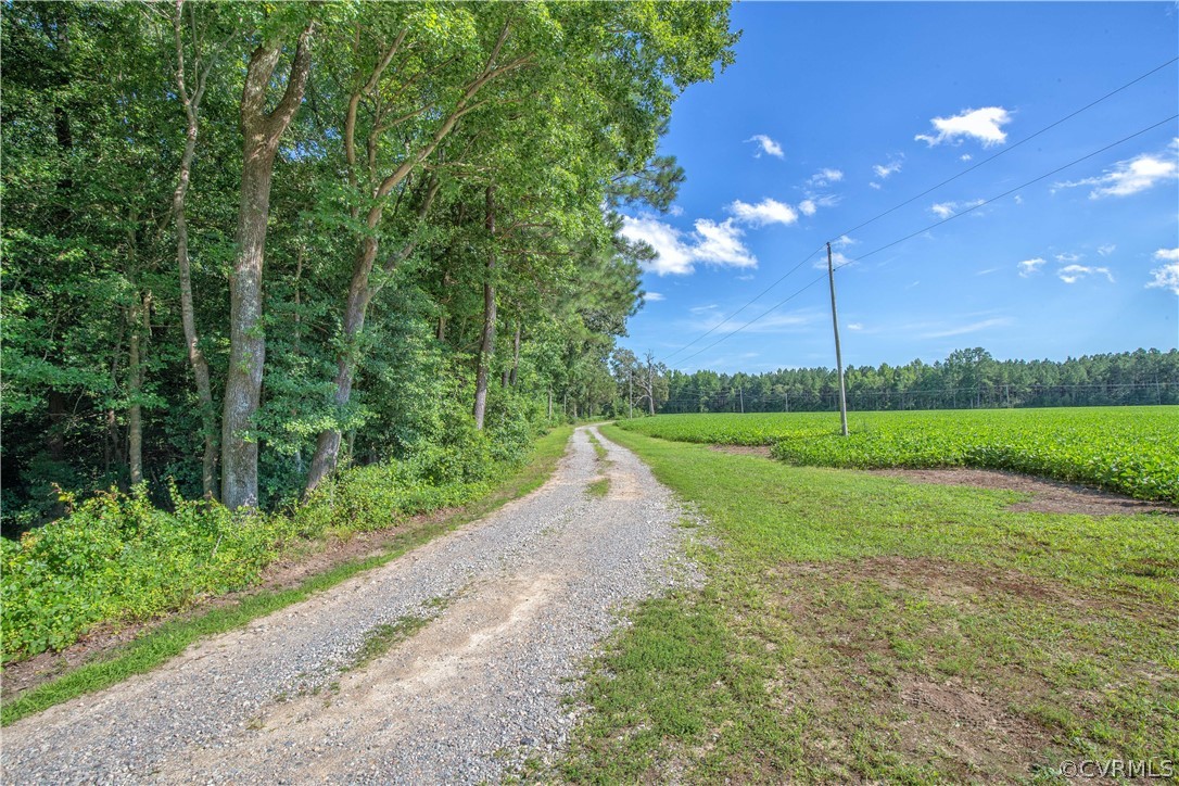 4480 Hair Road Disputanta, VA 23842 - Photo 4 of 39