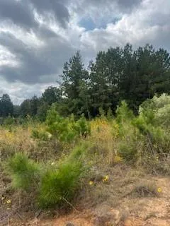 $249,000 | 0 Ocho Rios Drive, Pineville, LA 71360