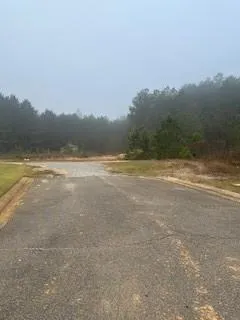 $249,000 | 0 Ocho Rios Drive, Pineville, LA 71360