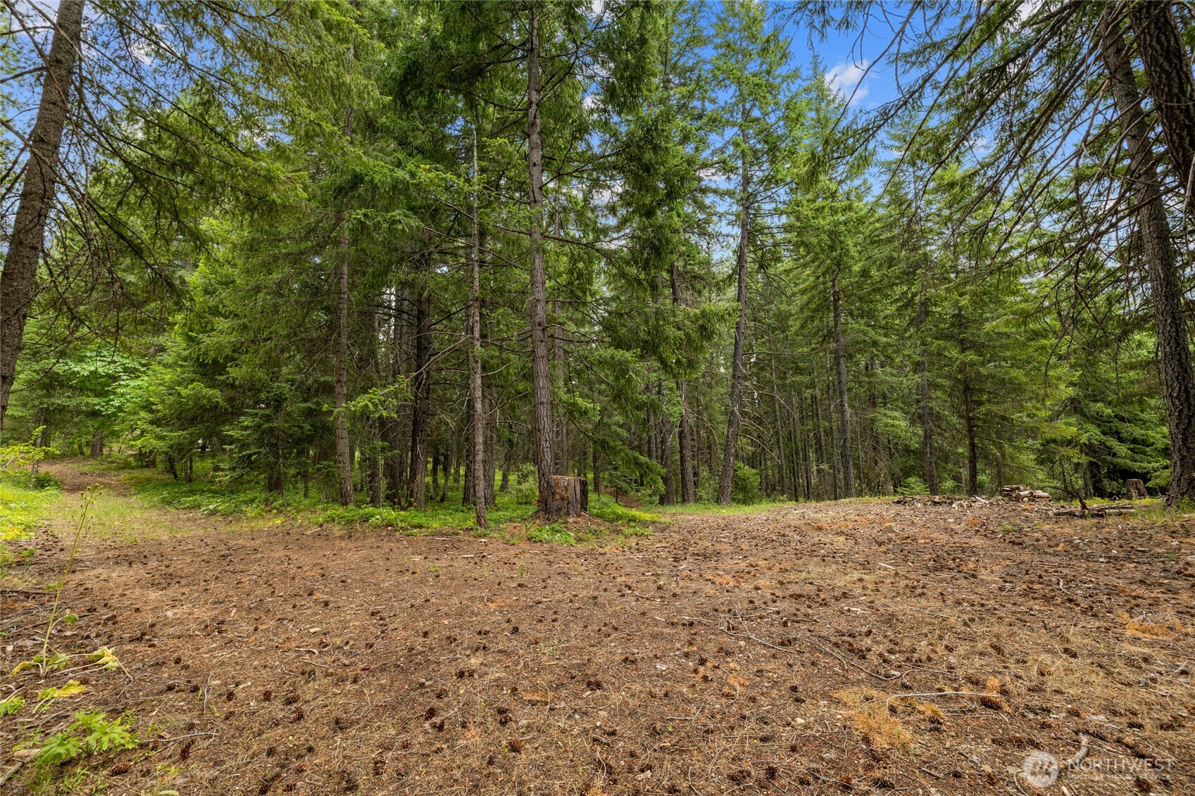 16341 Salmon La Sac Road Ronald, WA 98940 - Photo 35 of 40 a big yard with trees