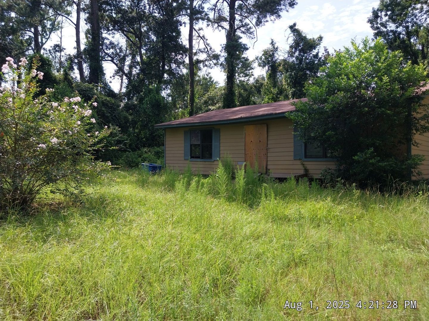 17505 South Lakeview Drive Splendora, TX 77372 - Photo 2 of 17 a backyard of a house with plants and large trees