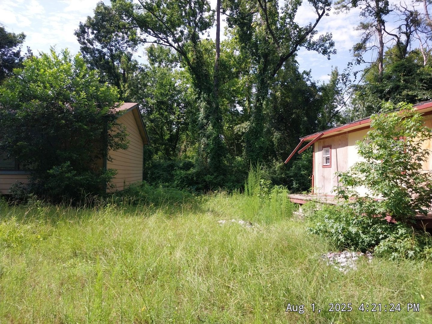 17505 South Lakeview Drive Splendora, TX 77372 - Photo 3 of 17 a backyard of a house with plants and large trees