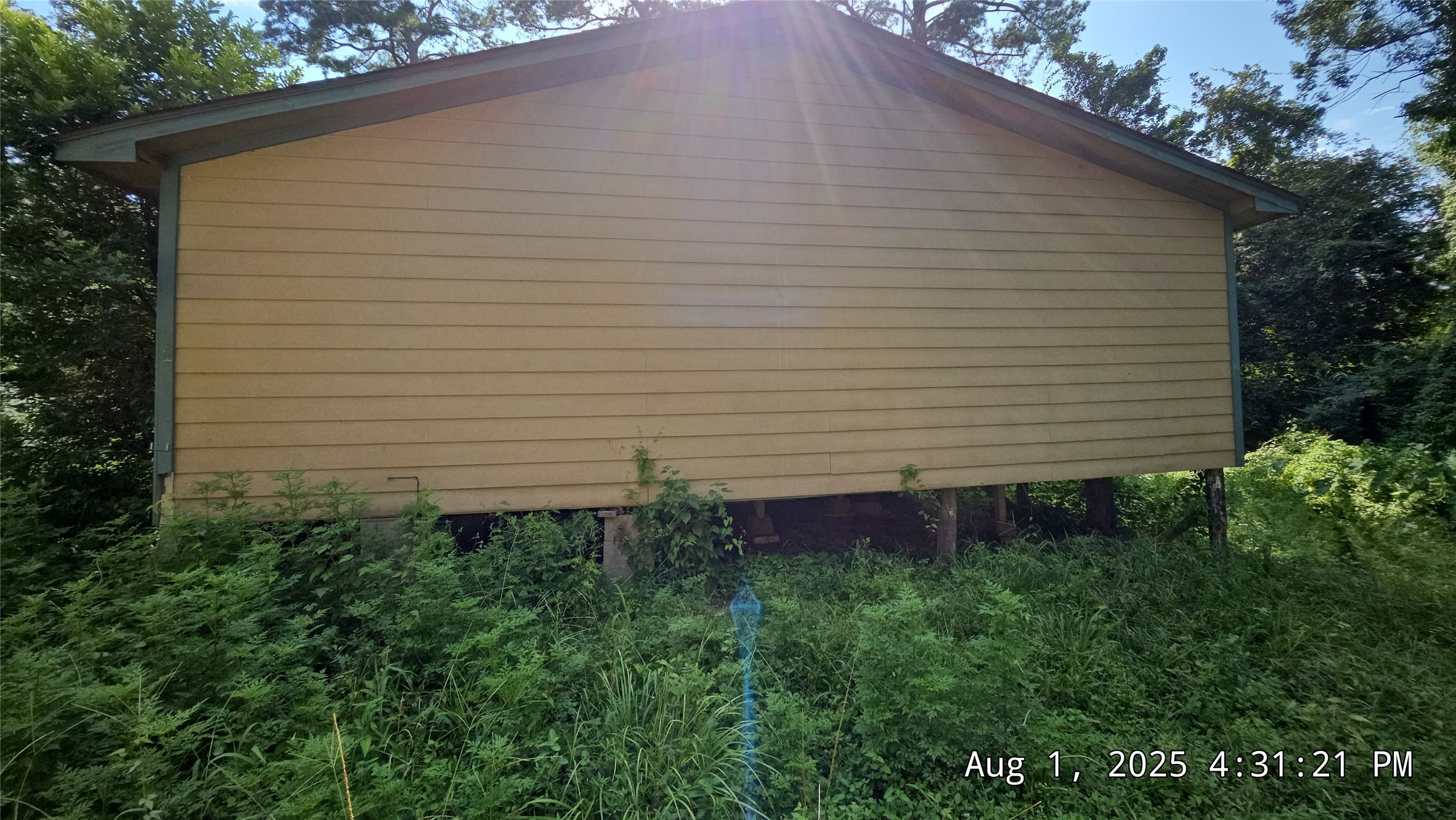 17505 South Lakeview Drive Splendora, TX 77372 - Photo 6 of 17 a view of a backyard