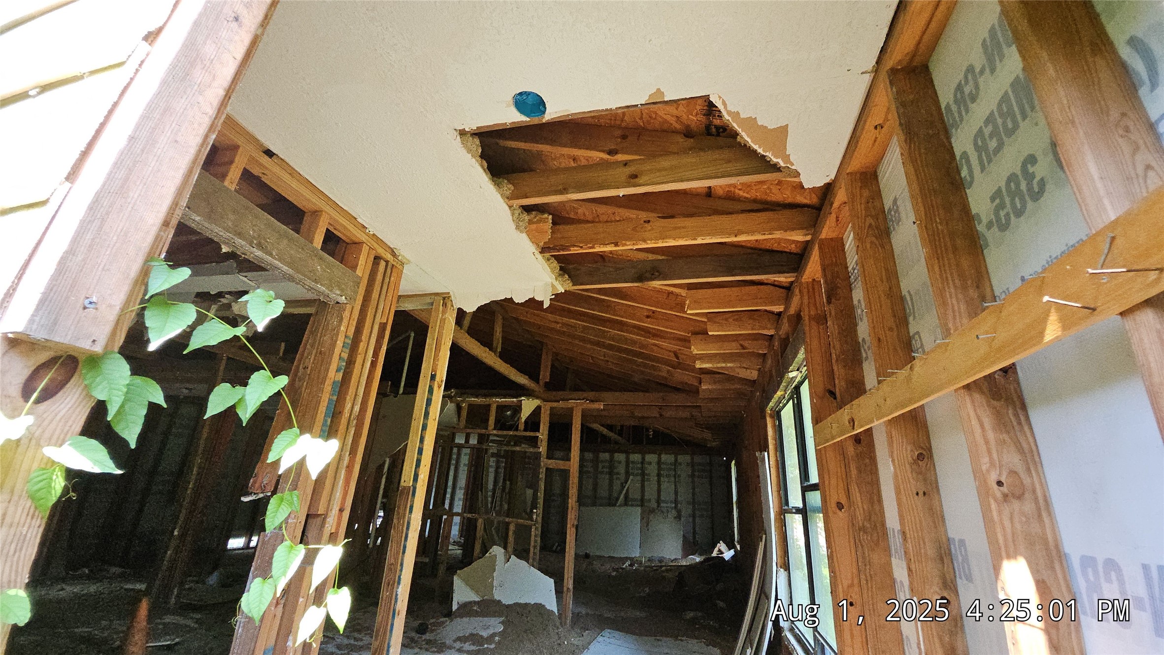 17505 South Lakeview Drive Splendora, TX 77372 - Photo 9 of 17 a view of an outdoor space