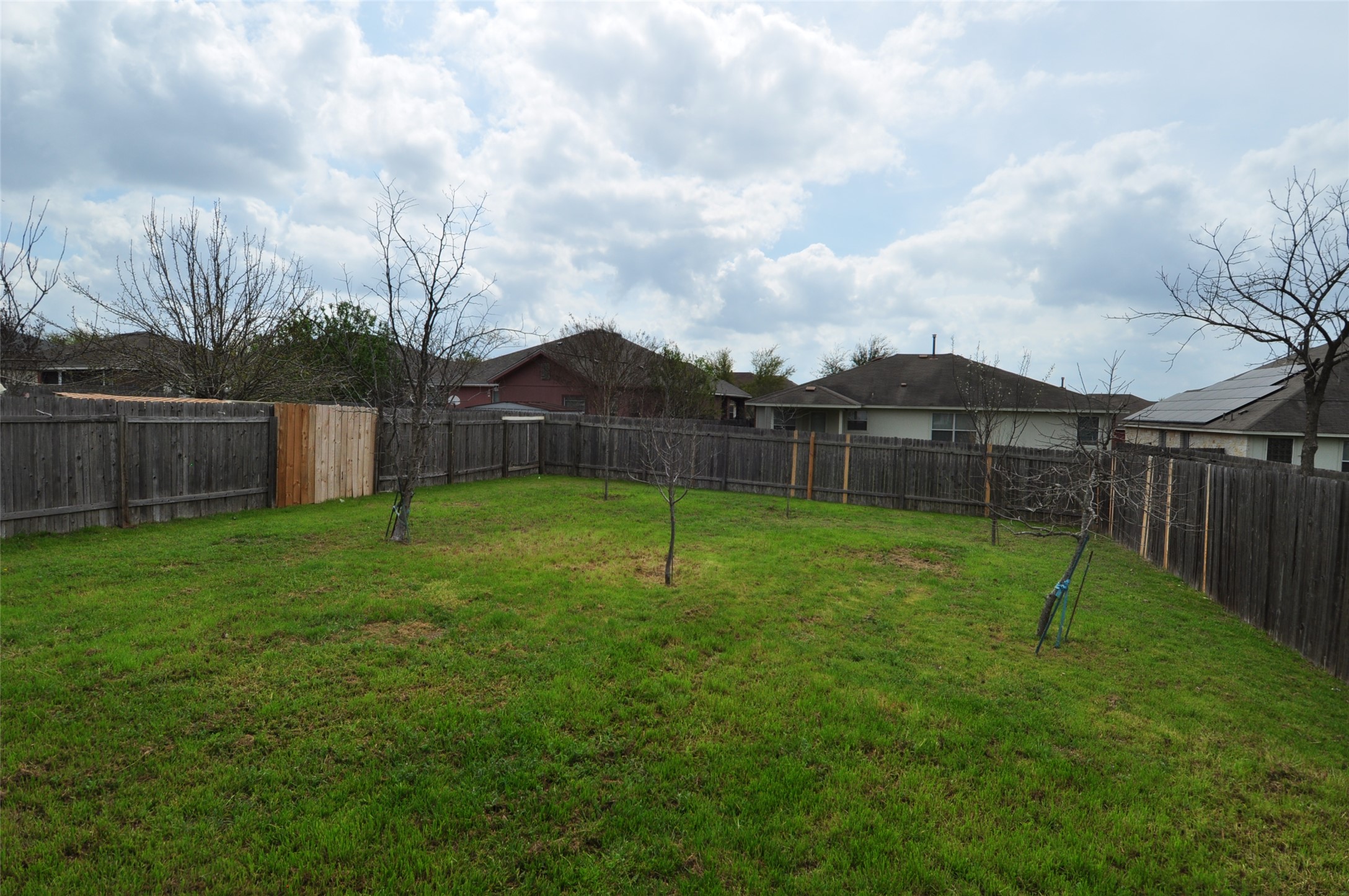 1409 Tea Leaf Drive Pflugerville, TX 78660 - Photo 17 of 18 A generously sized yard, securely fenced, offers ample room for outdoor activities and future landscaping endeavors.